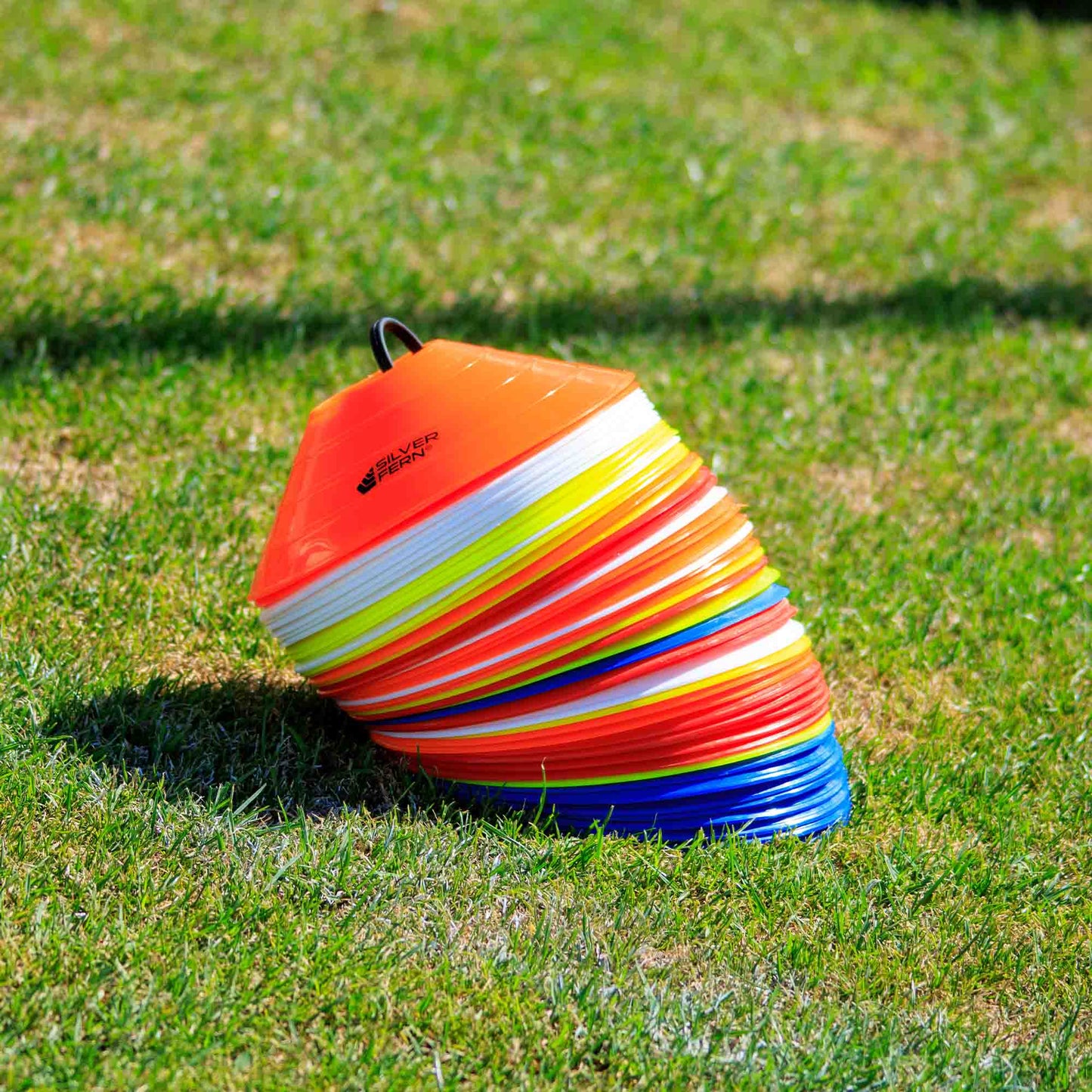 Silver Fern Marker Cones, front, lifestyle.