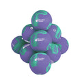 10 Ball Pack Netball Tui Purple Size 4 (Clearance)