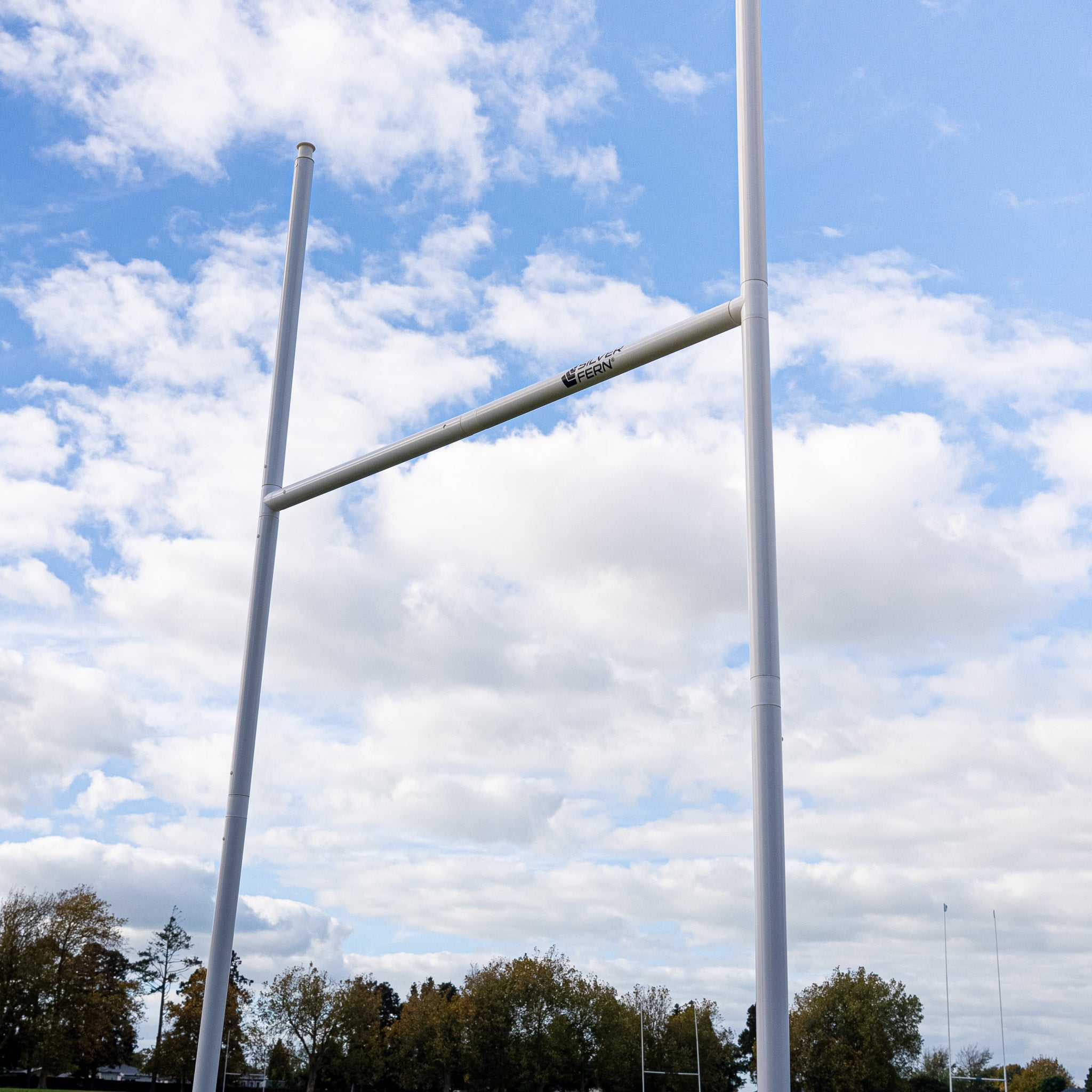 Junior Rugby Goal Post (x1)