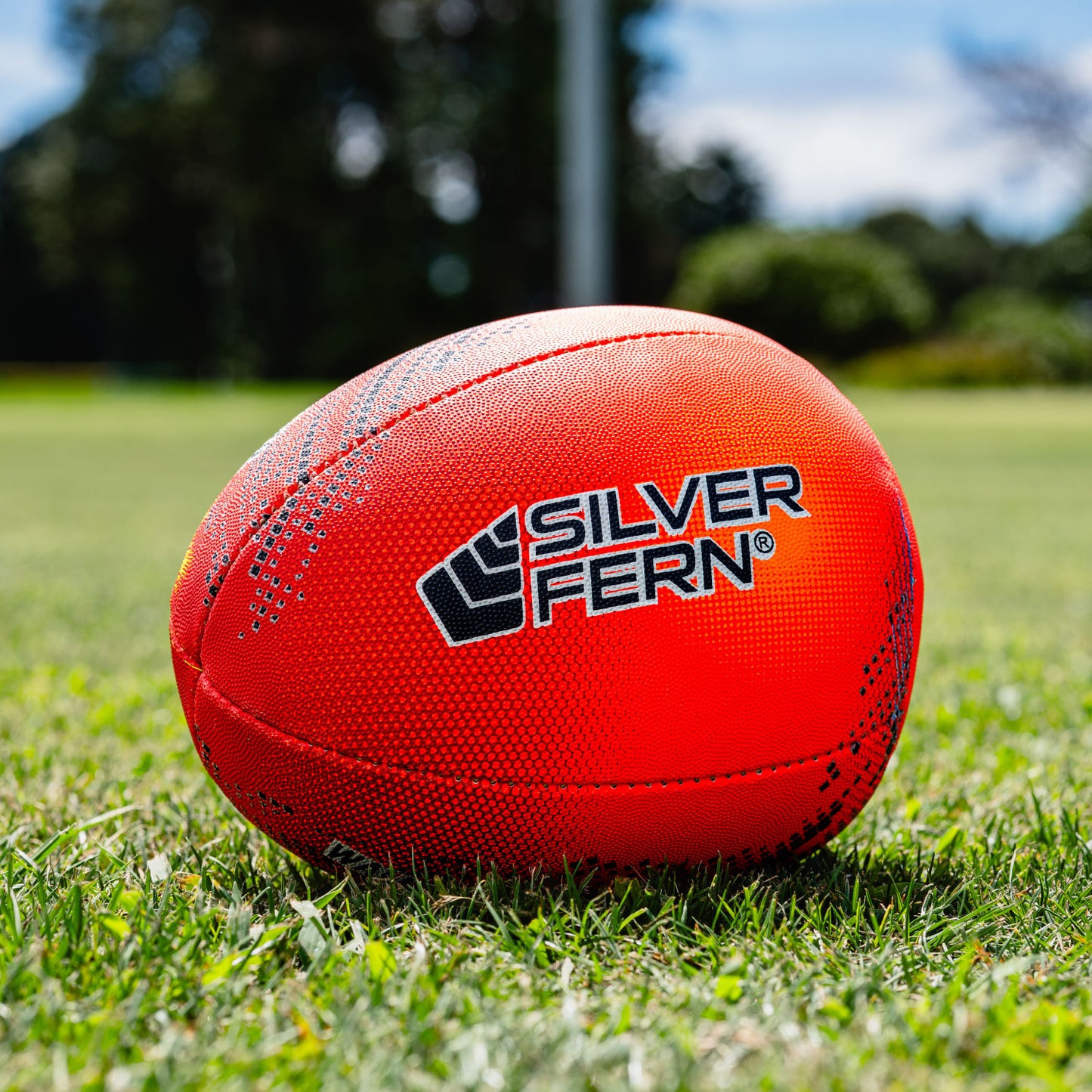 Silver Fern Rebounder Skills Ball